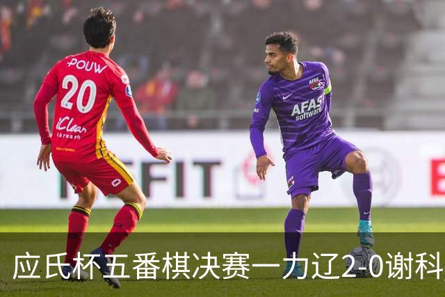 应氏杯五番棋决赛一力辽2-0谢科 率先拿到赛点